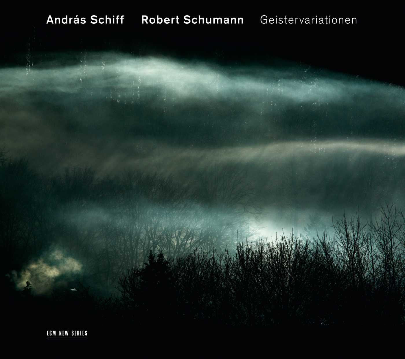 Robert Schumann/Geistervariationen book cover