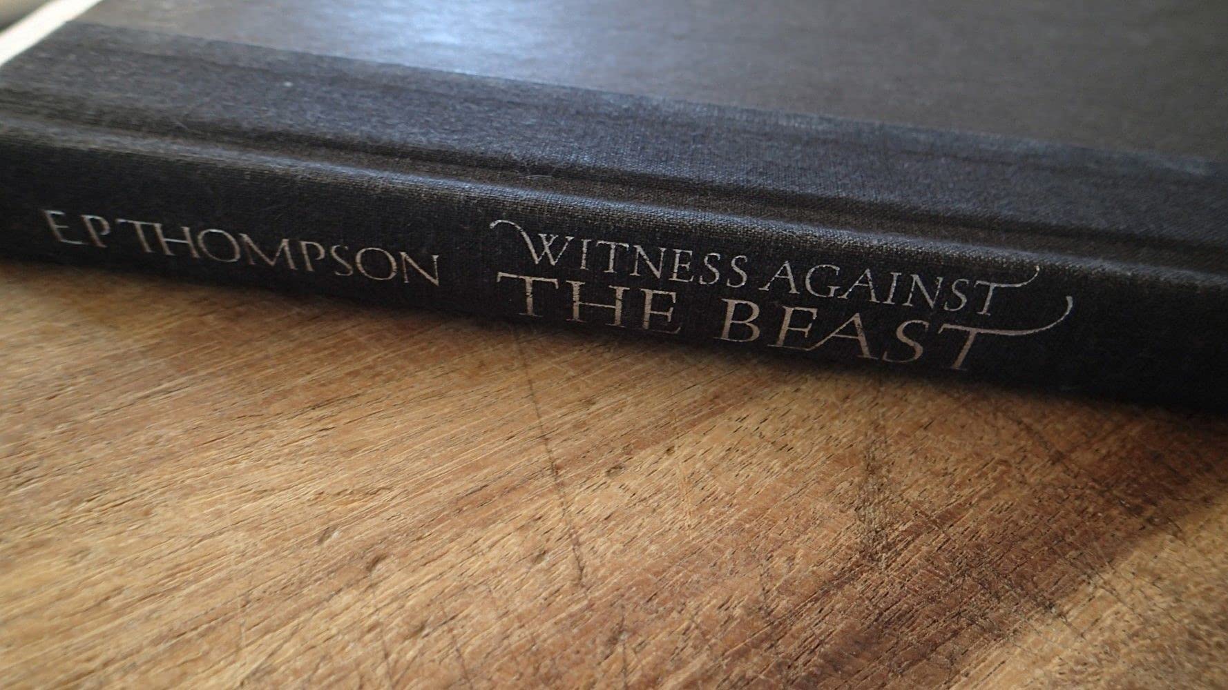Witness Against the Beast book cover