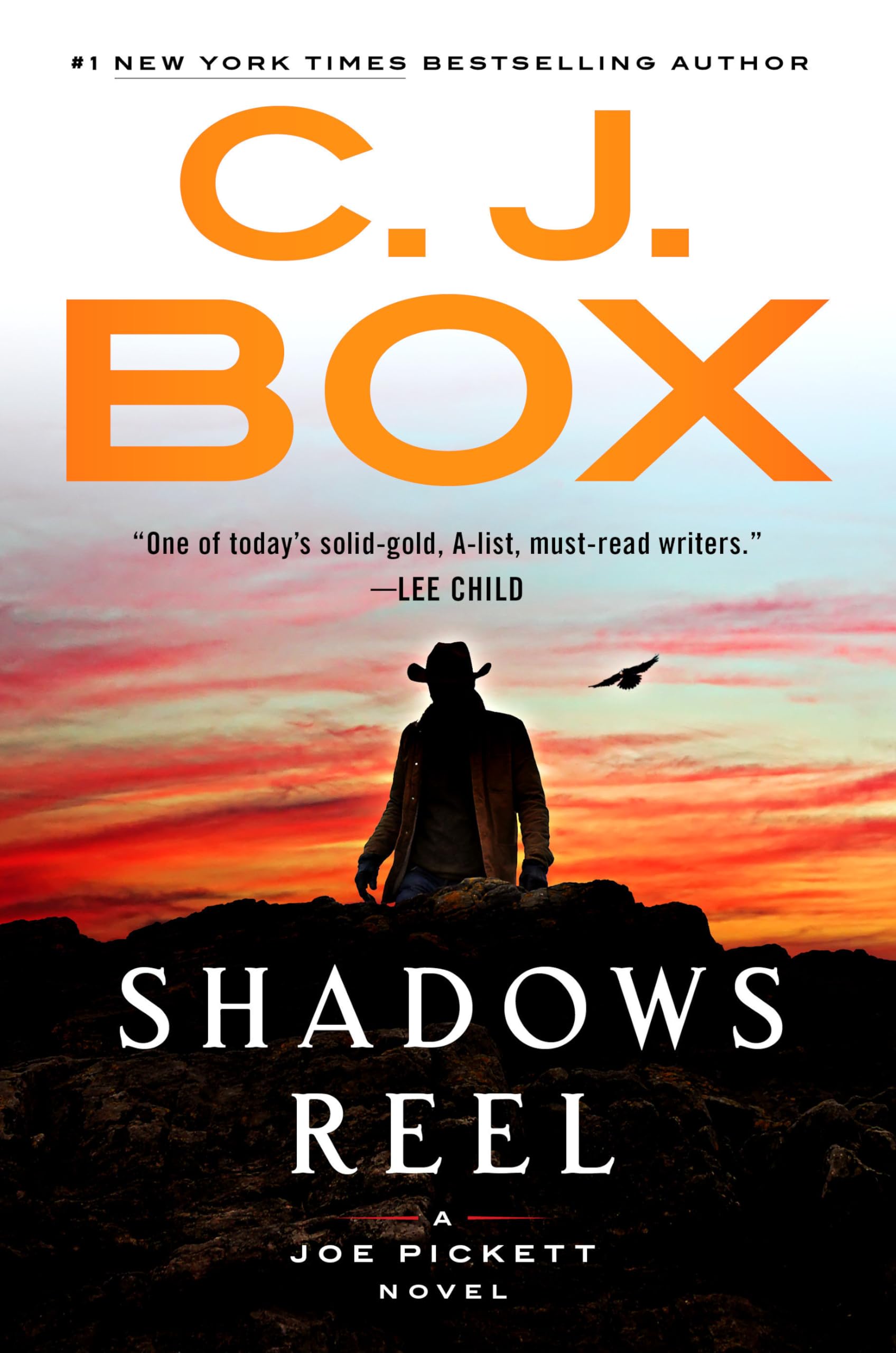 Shadows Reel book cover
