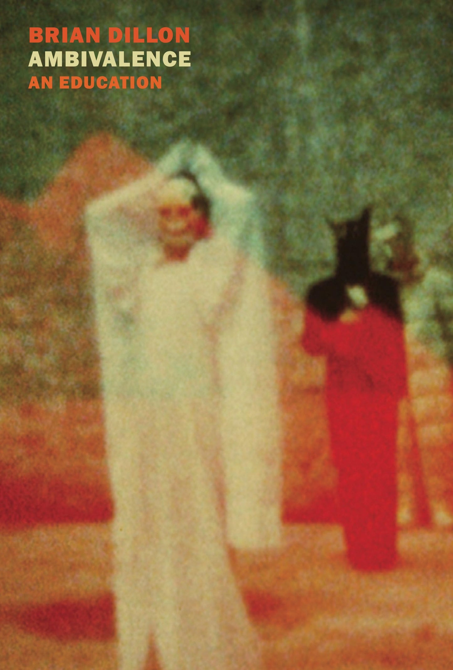 Ambivalence: An Education book cover