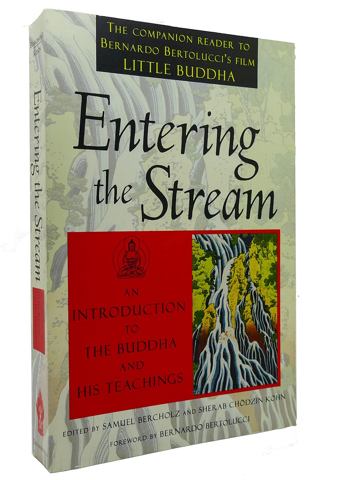 Entering the Stream book cover