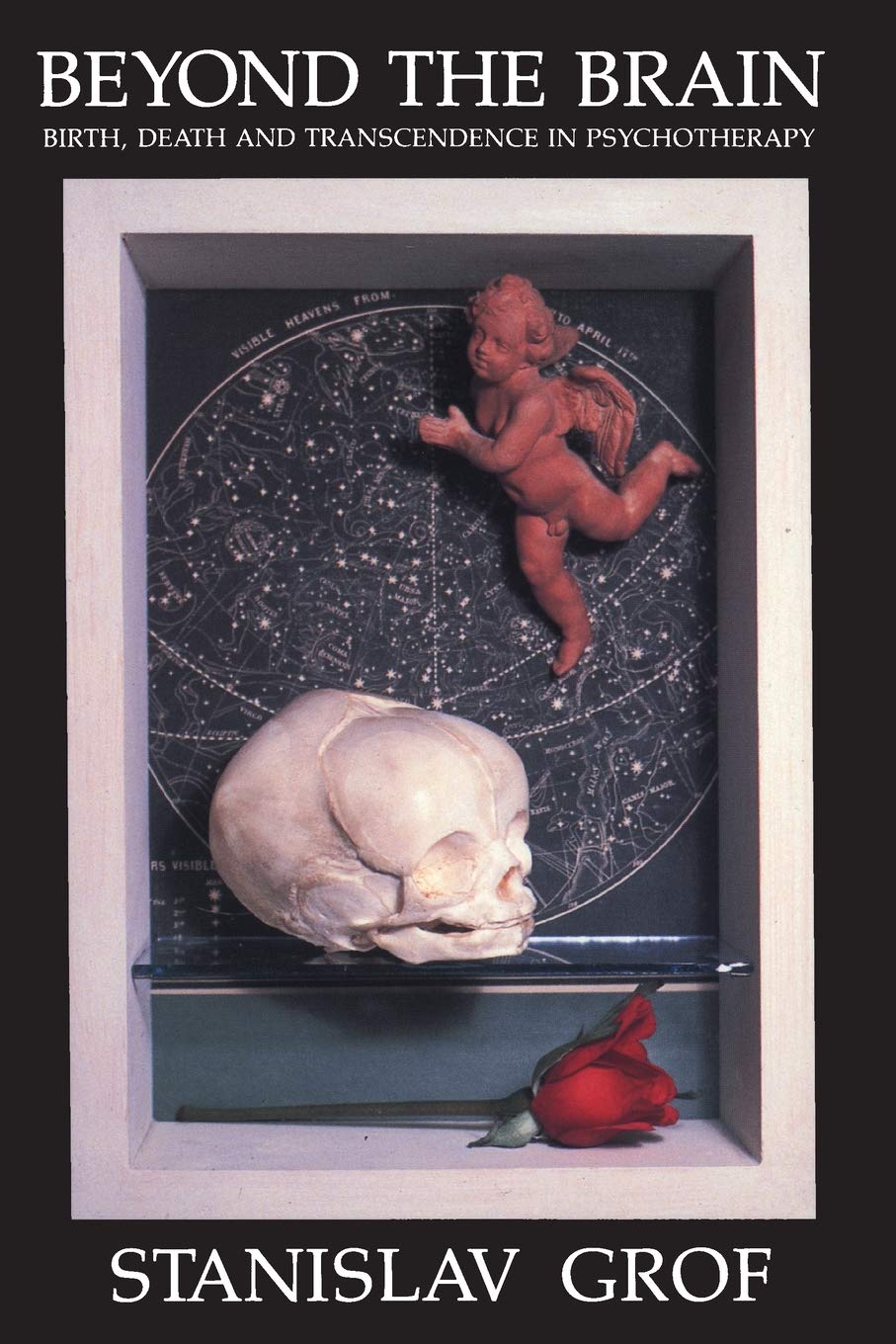Beyond the Brain: Birth, Death, and Transcendence in Psychotherapy book cover