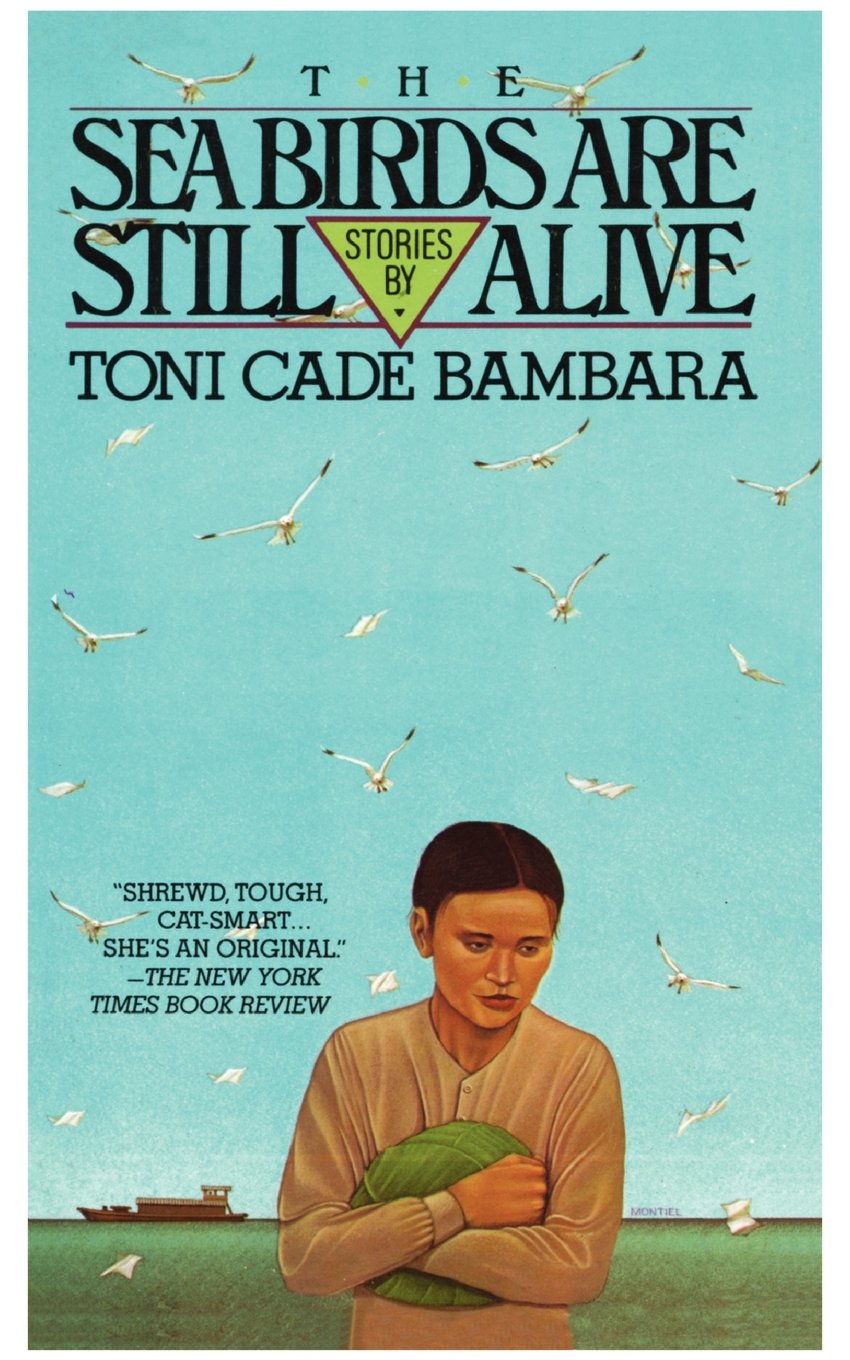 Sea Birds Are Still Alive book cover