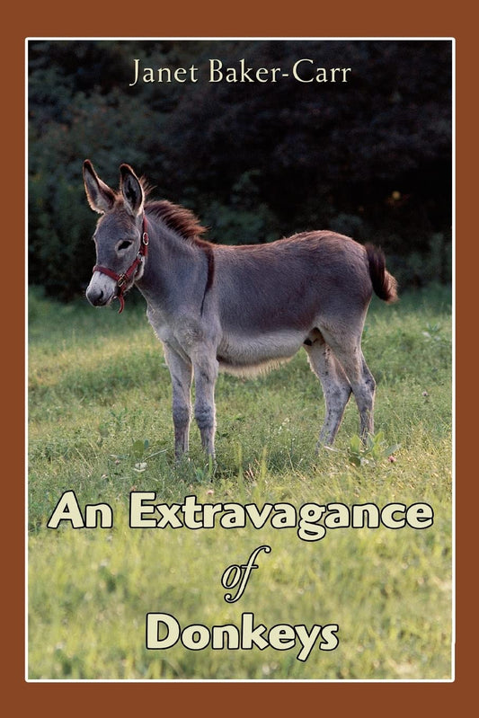 Extravagance of Donkeys