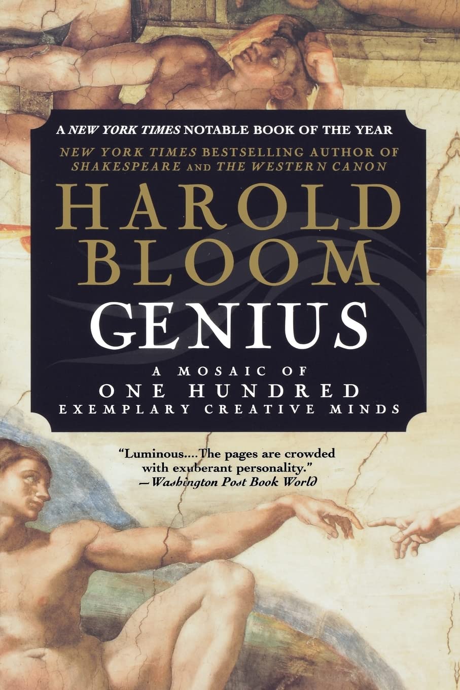 Genius: A Mosaic of One Hundred Exemplary Creative Minds book cover