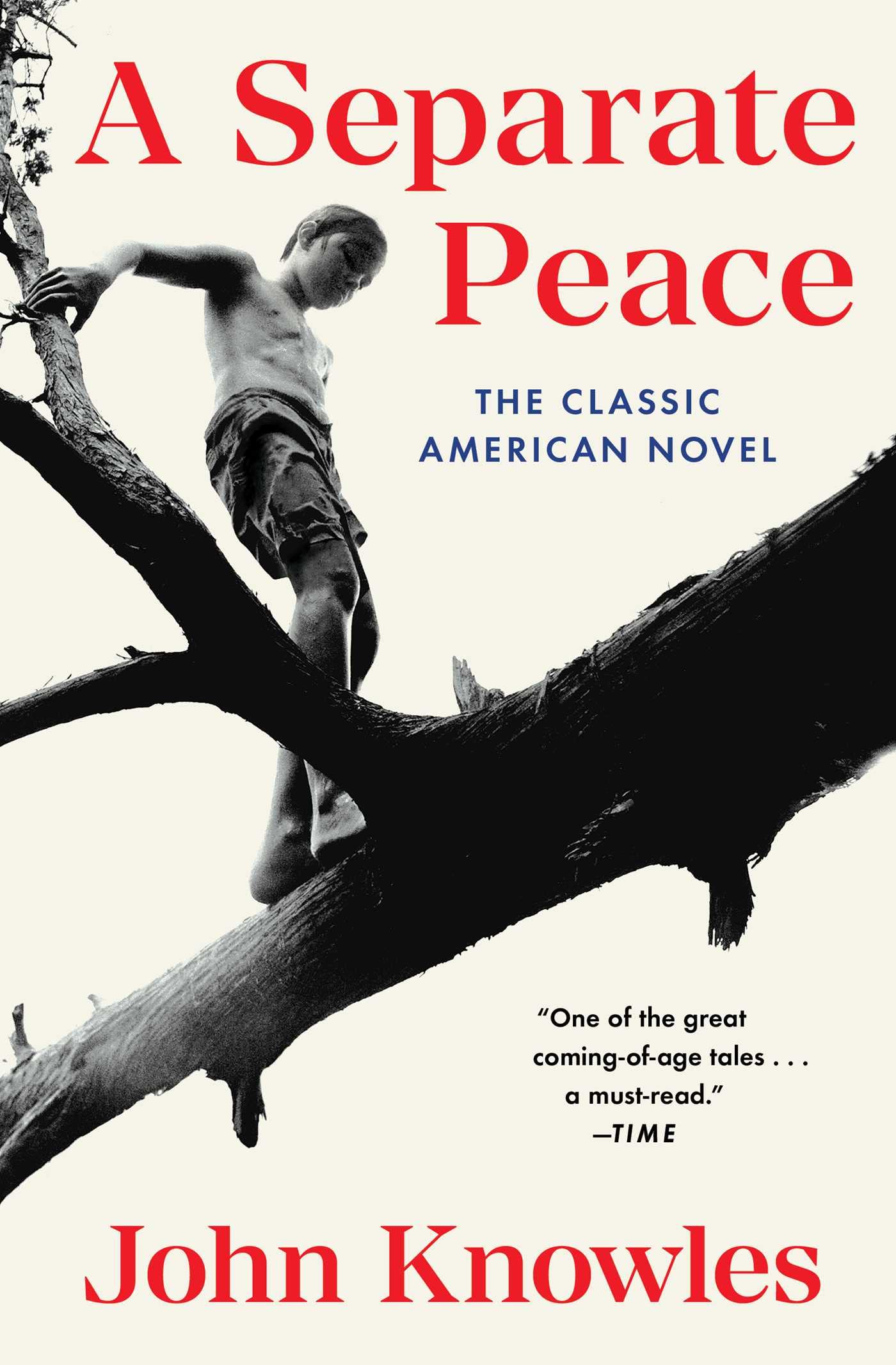 Separate Peace book cover