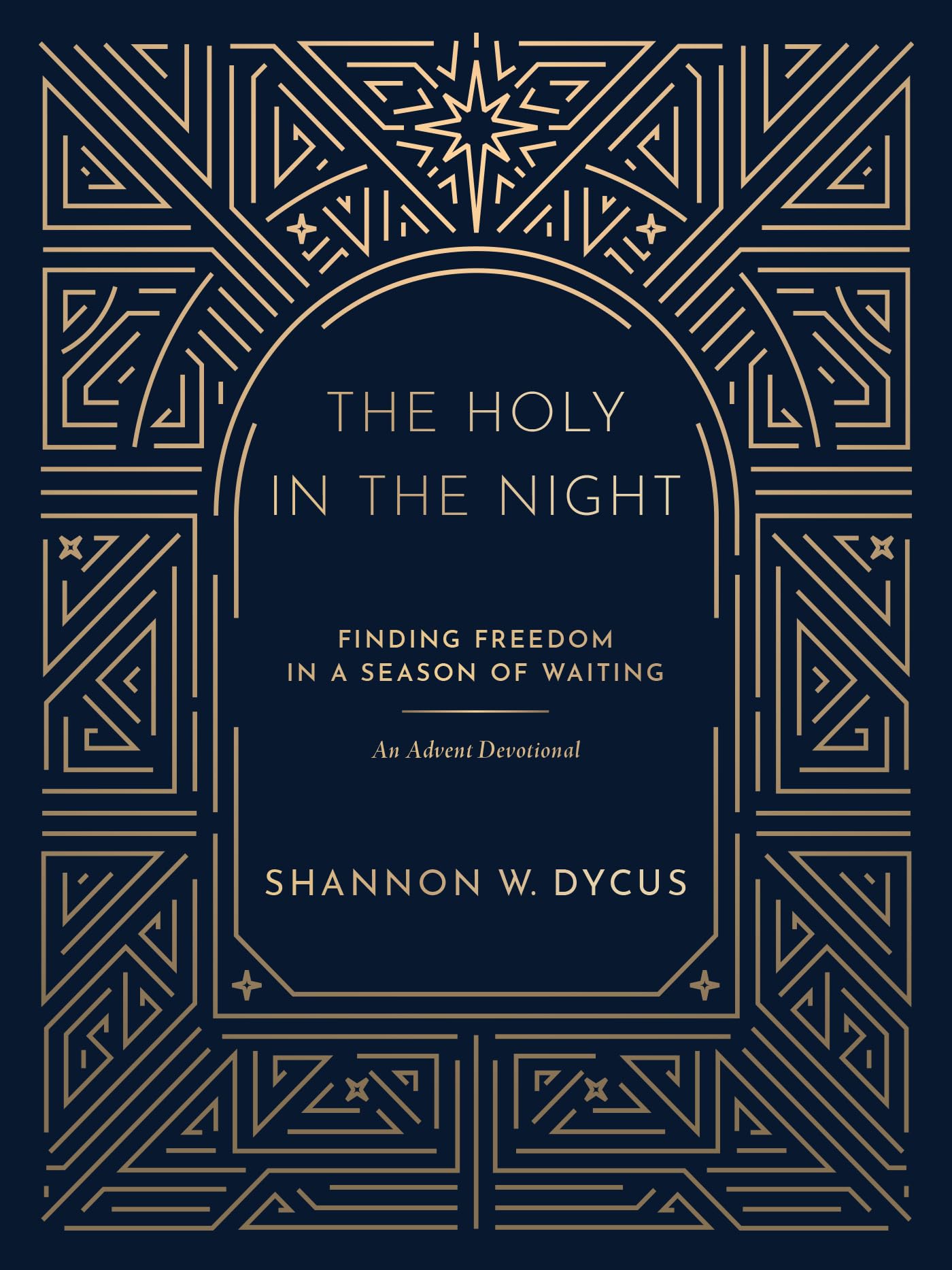 Holy in the Night: Finding Freedom in a Season of Waiting book cover