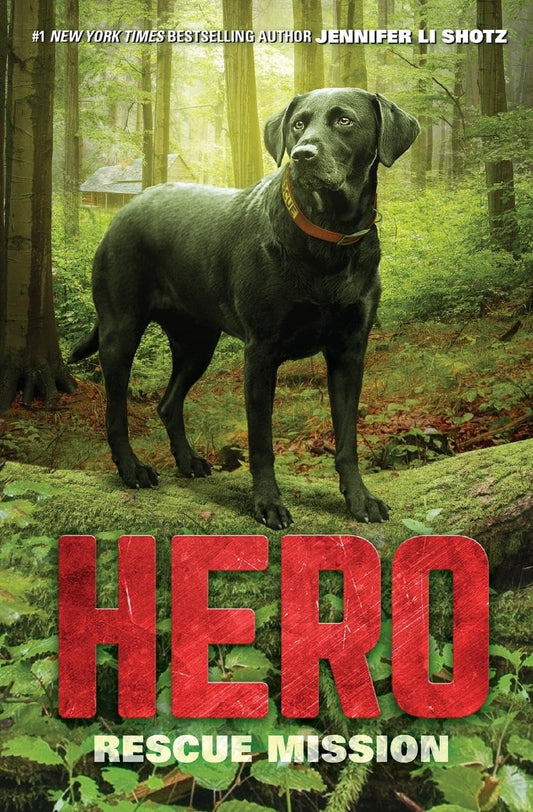Hero: Rescue Mission book cover