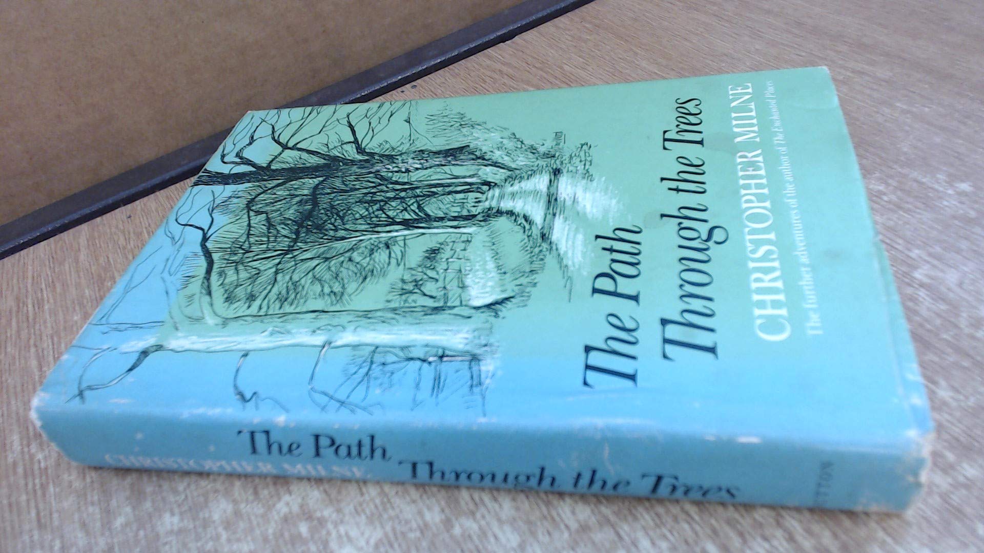Path Through the Trees book cover