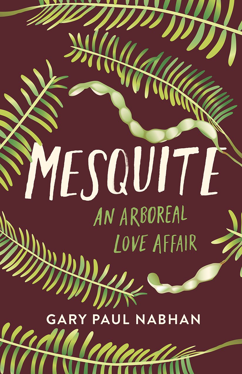 Mesquite: An Arboreal Love Affair book cover