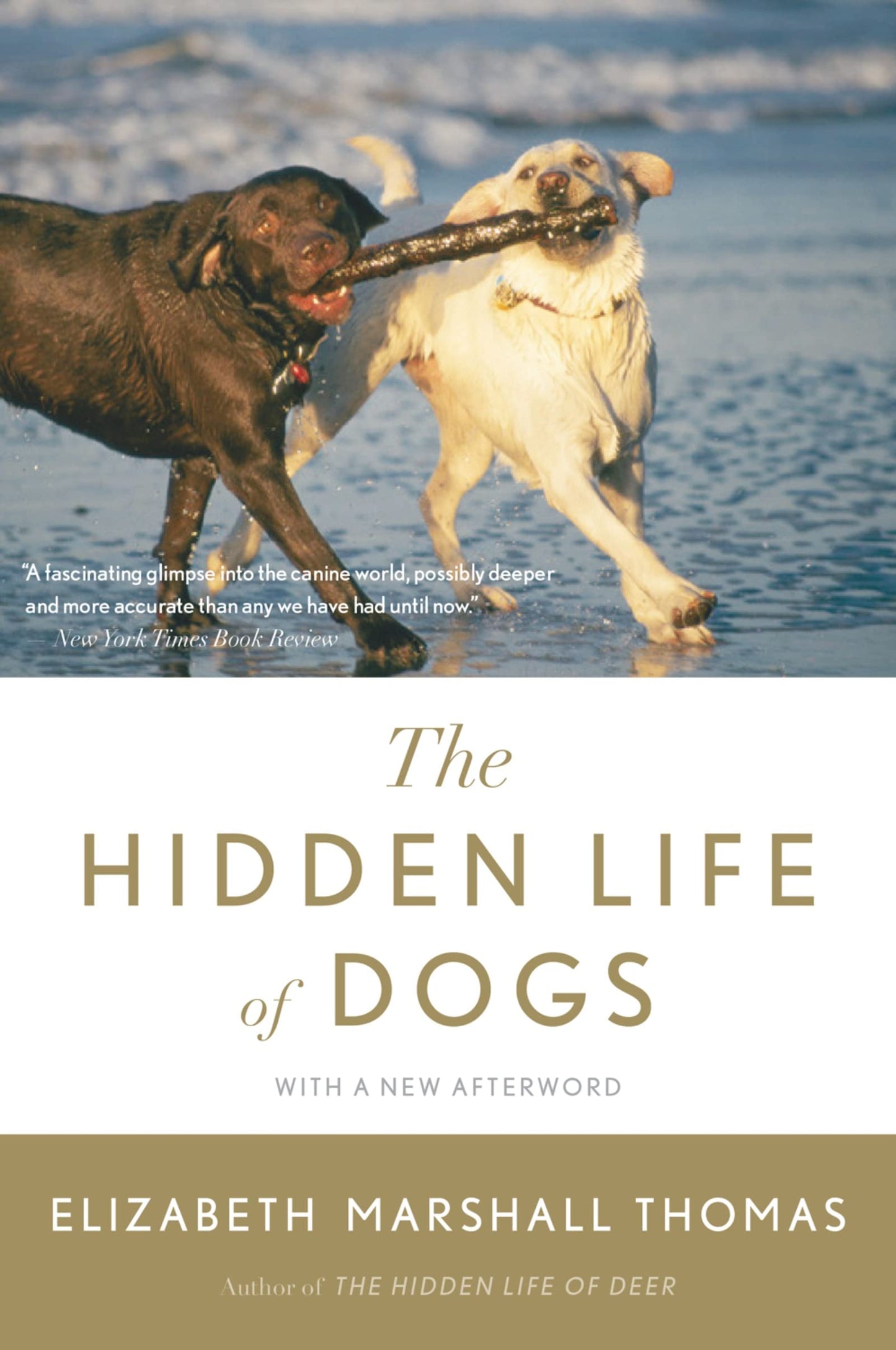 Hidden Life of Dogs