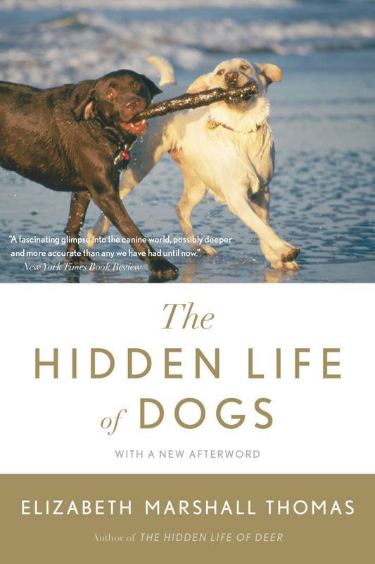 Hidden Life of Dogs book cover