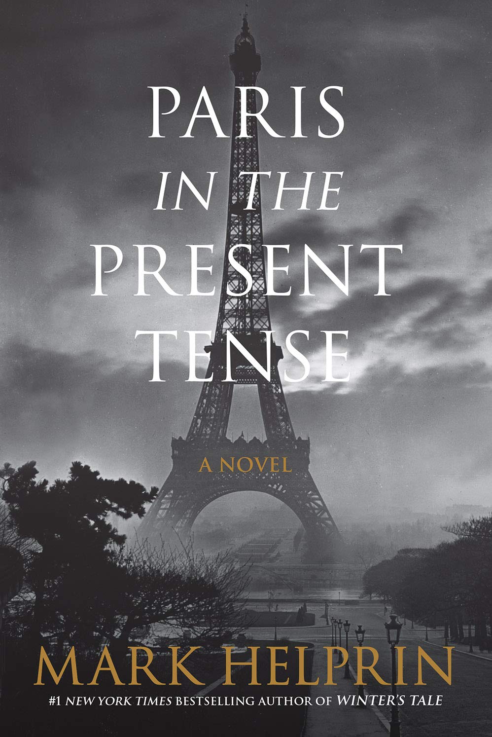 Paris in the Present Tense book cover