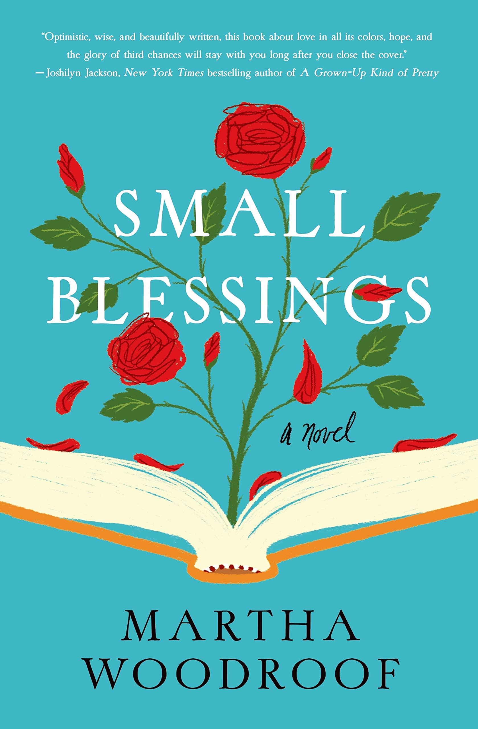 Small Blessings book cover
