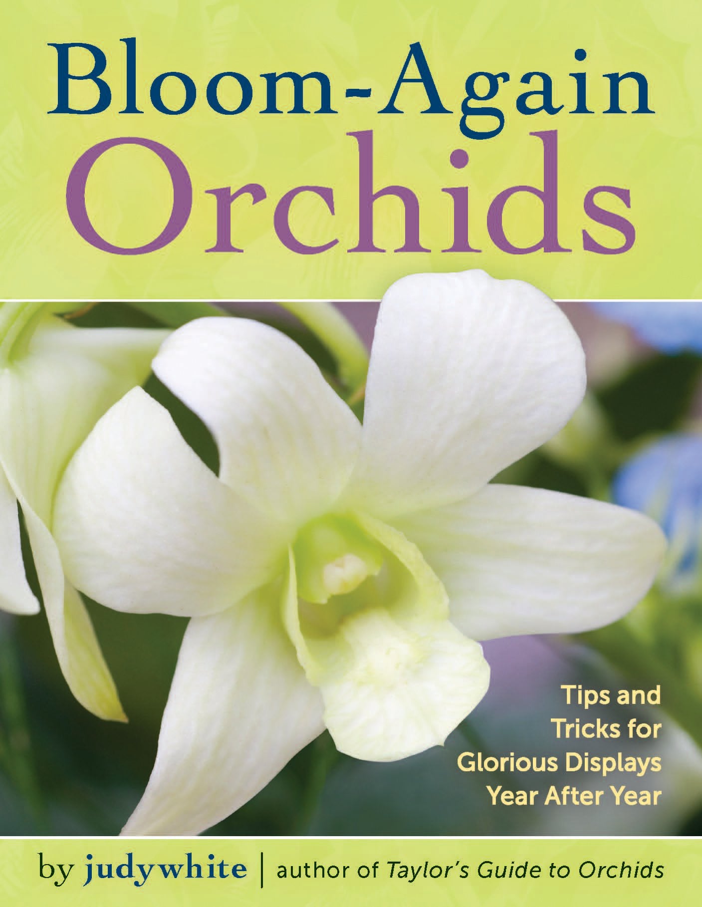 Bloom-Again Orchids: 50 Easy-Care Orchids That Flower Again and Again and Again book cover