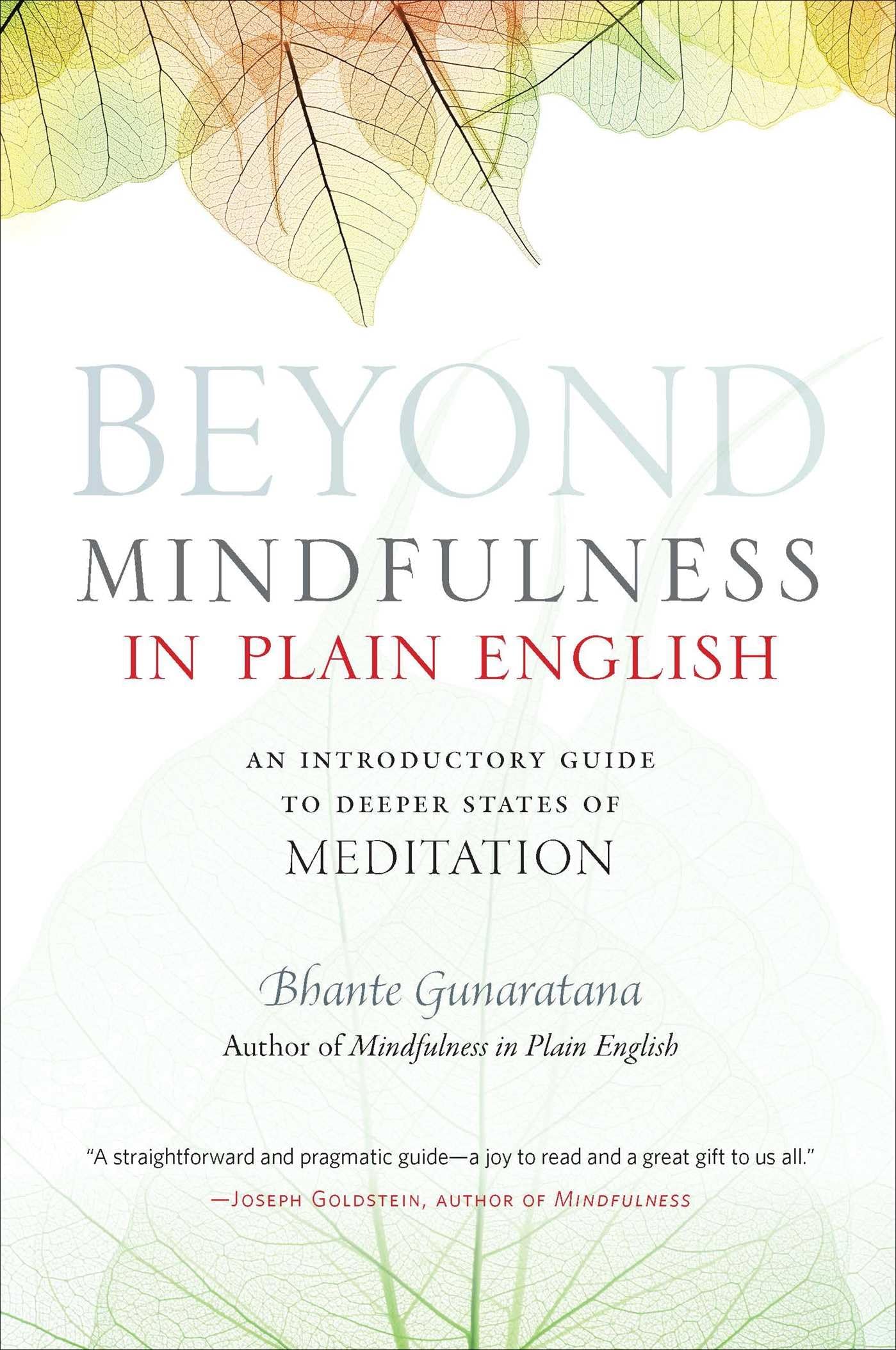 Beyond Mindfulness in Plain English: An Introductory Guide to Deeper States of Meditation book cover