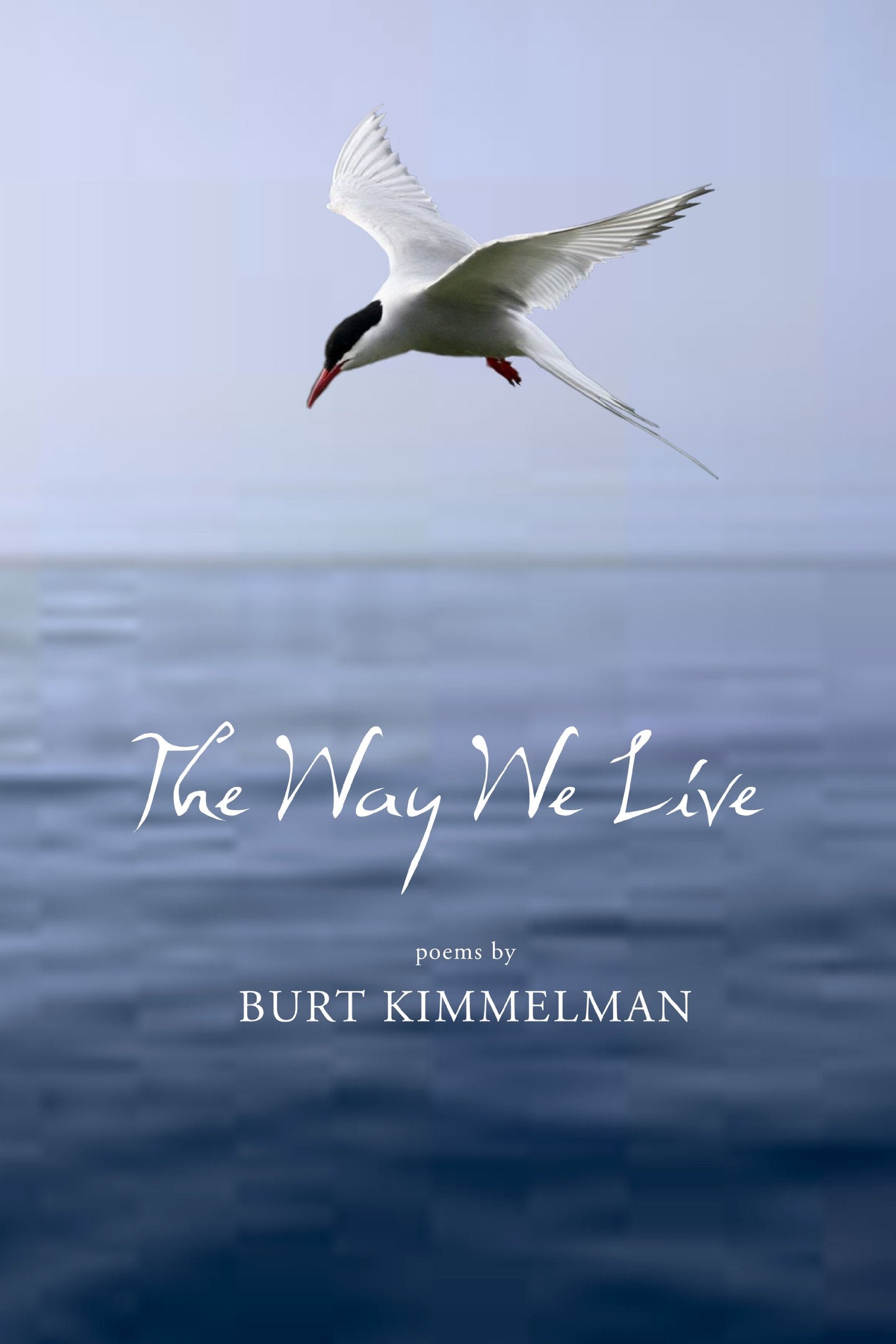 Way We Live book cover