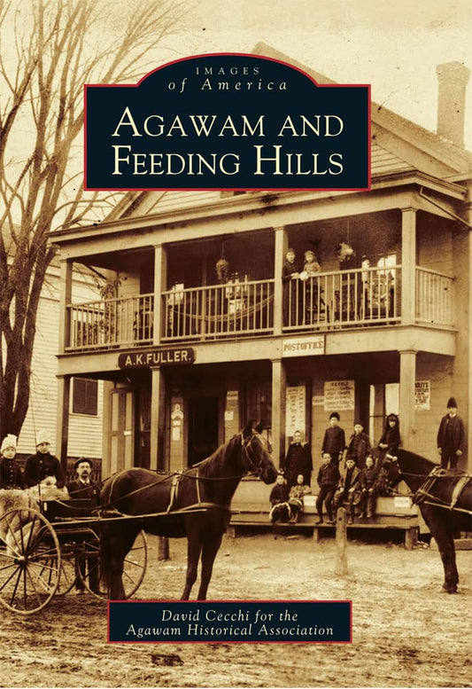 Agawam and Feeding Hills book cover