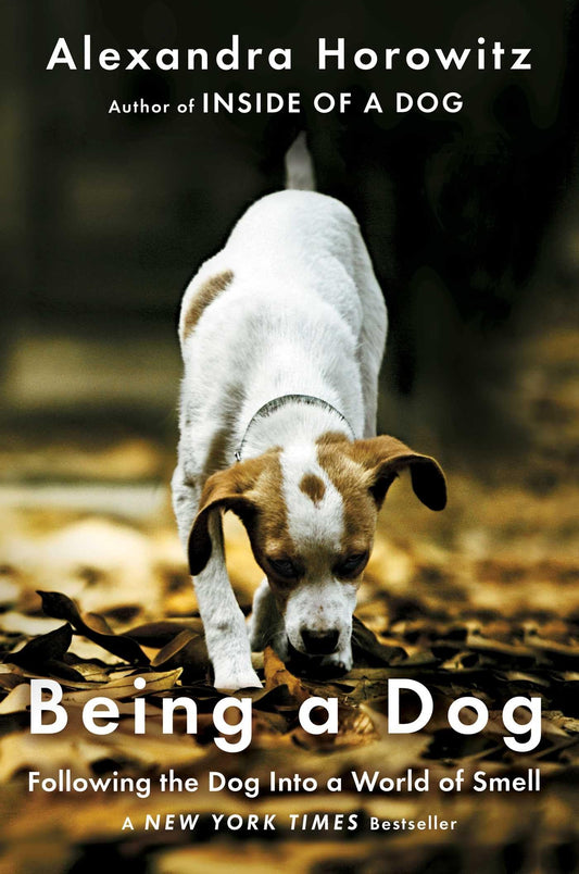 Being a Dog: Following the Dog Into a World of Smell book cover