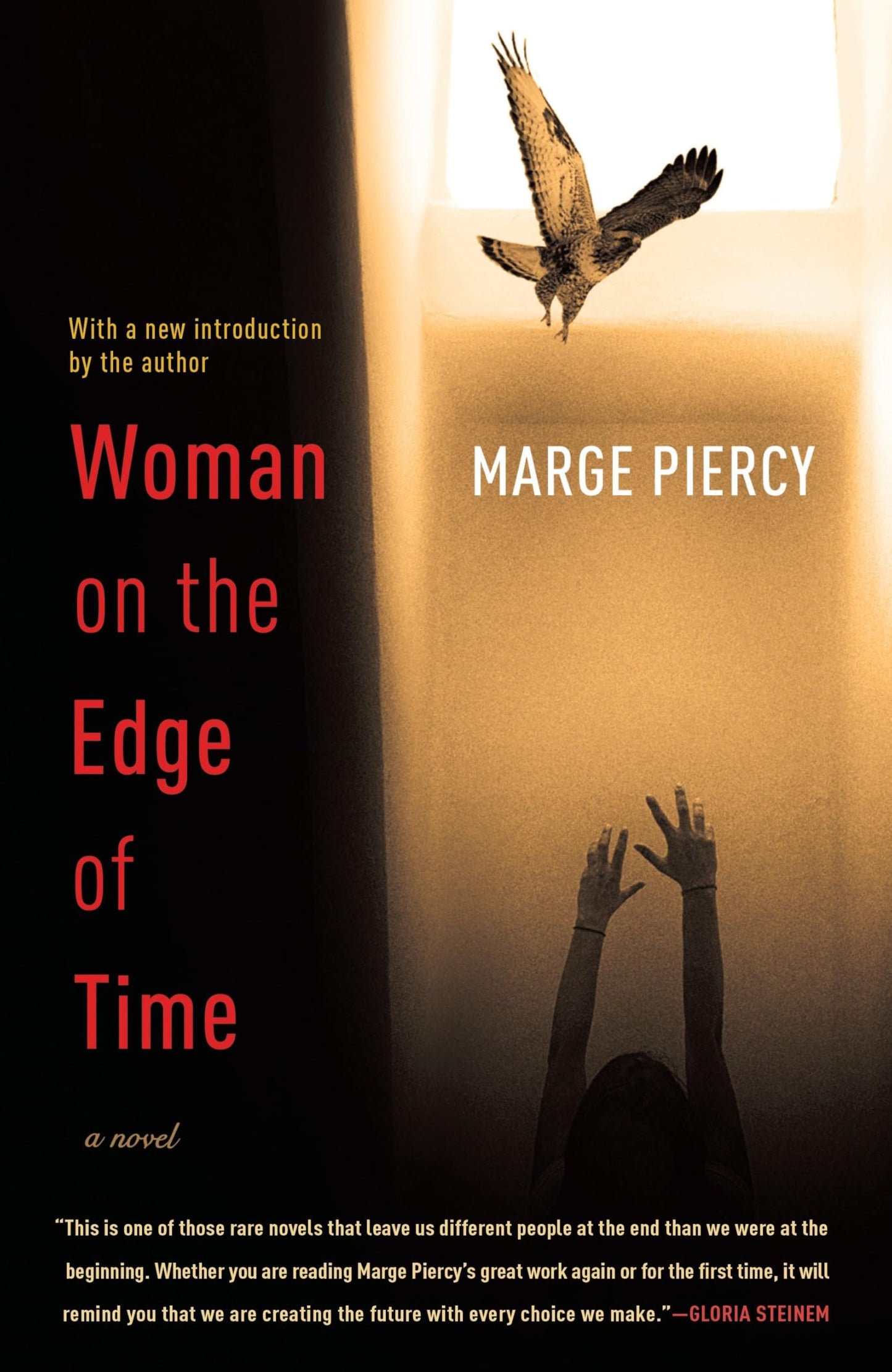 Woman on the Edge of Time book cover
