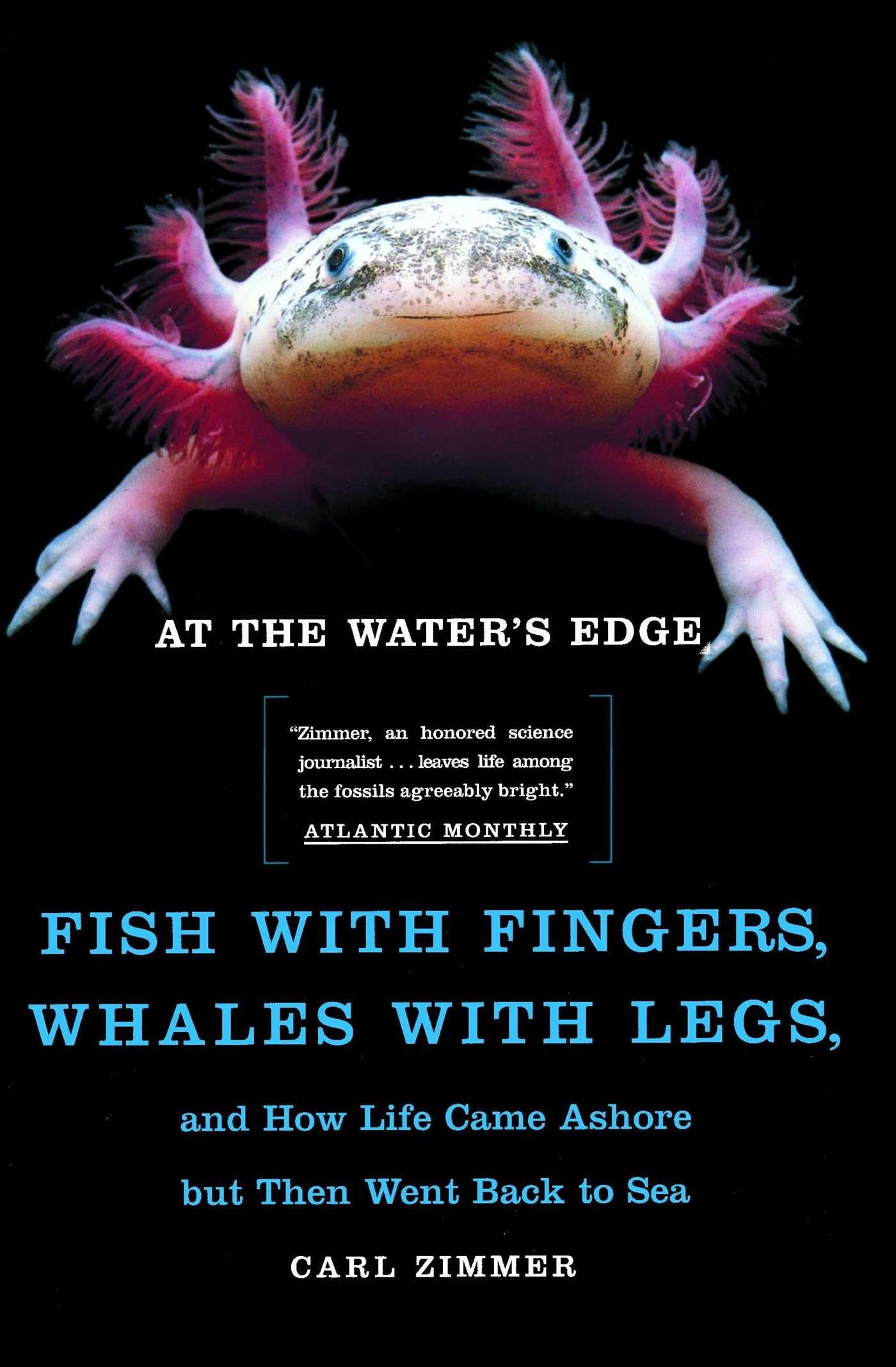 At the Water's Edge: Fish with Fingers, Whales with Legs, and How Life Came Ashore But Then Went Back to Sea book cover