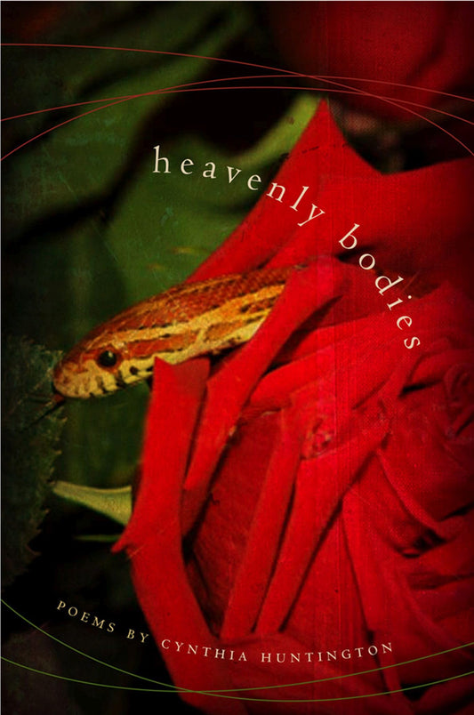 Heavenly Bodies book cover