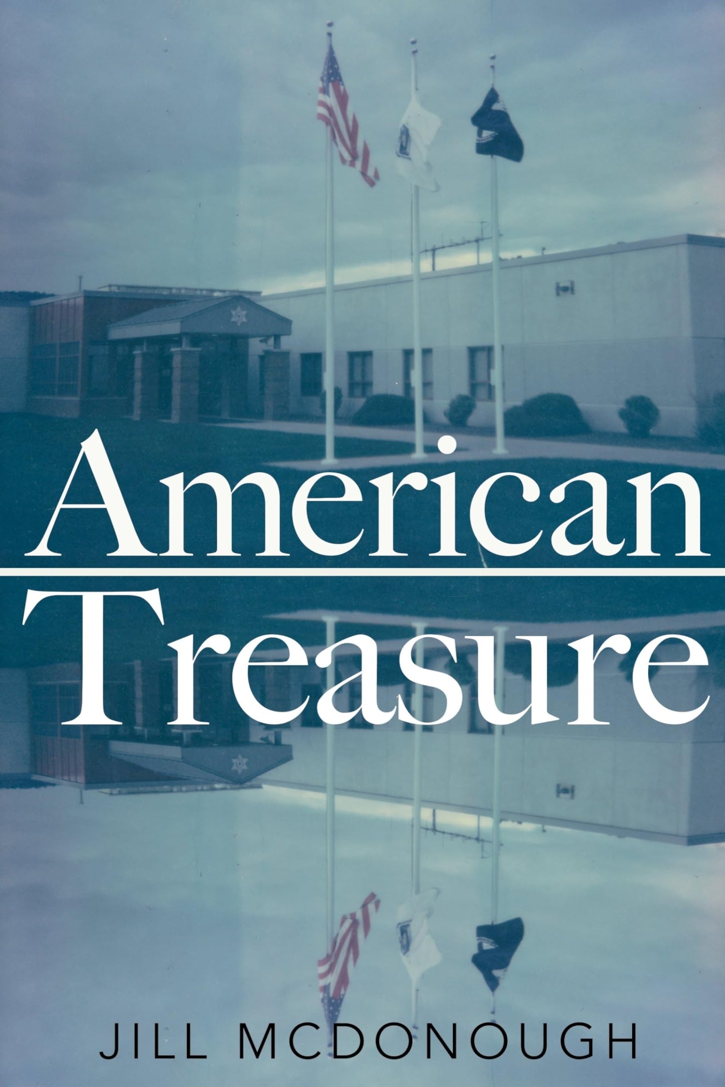 American Treasure book cover