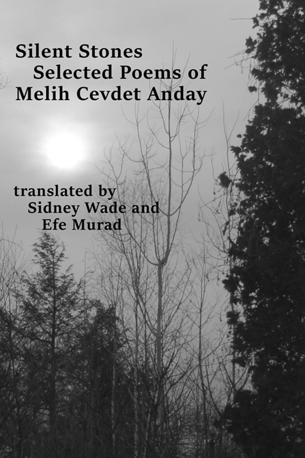 Silent Stones: Selected Poems of Melih Cevdet Anday book cover