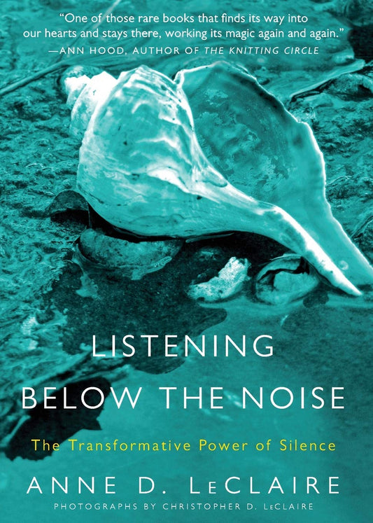 Listening Below the Noise: The Transformative Power of Silence book cover