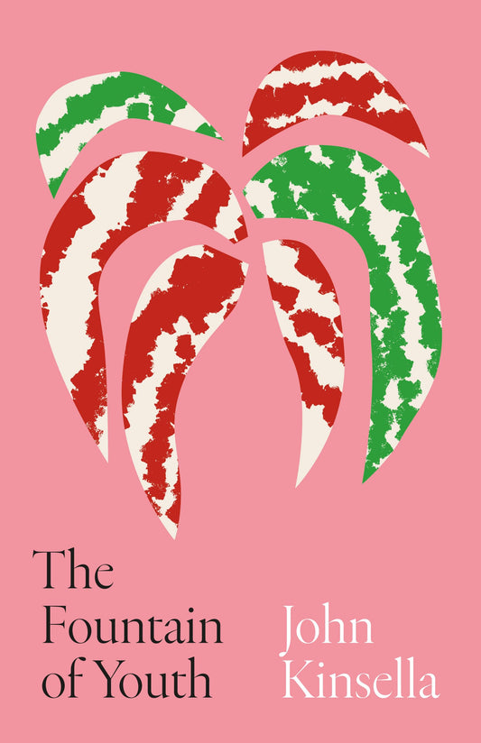 The Fountain of Youth book cover