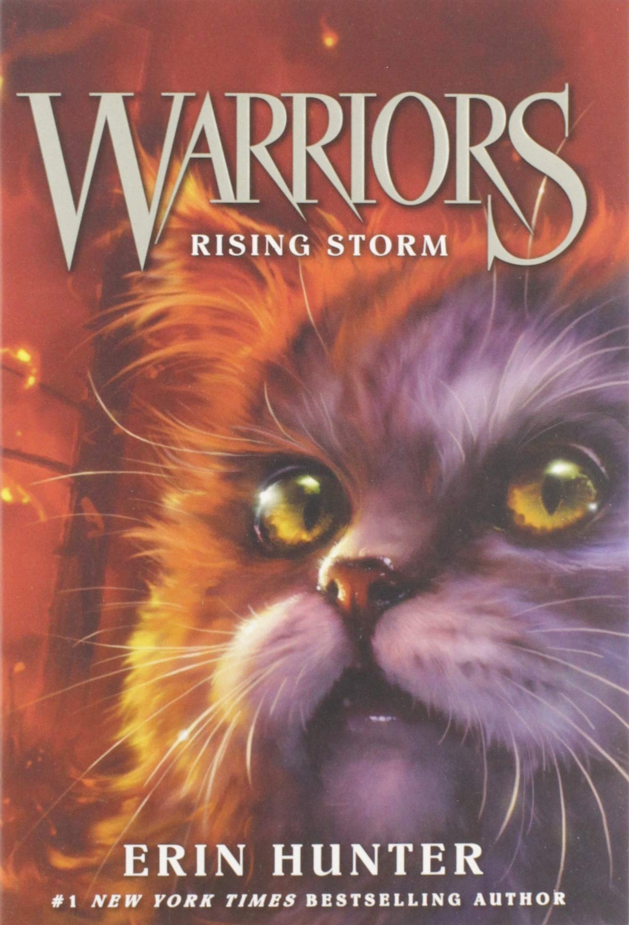 Warriors #4: Rising Storm book cover