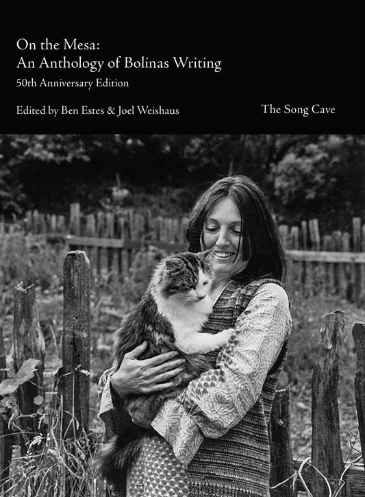 On the Mesa: An Anthology of Bolinas Writers book cover