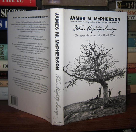 This Mighty Scourge: Perspectives on the Civil War book cover