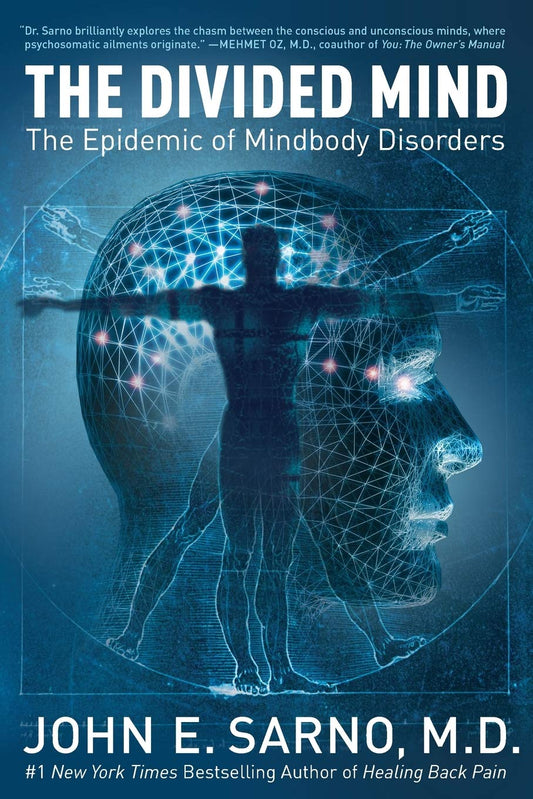 Divided Mind: The Epidemic of Mindbody Disorders book cover