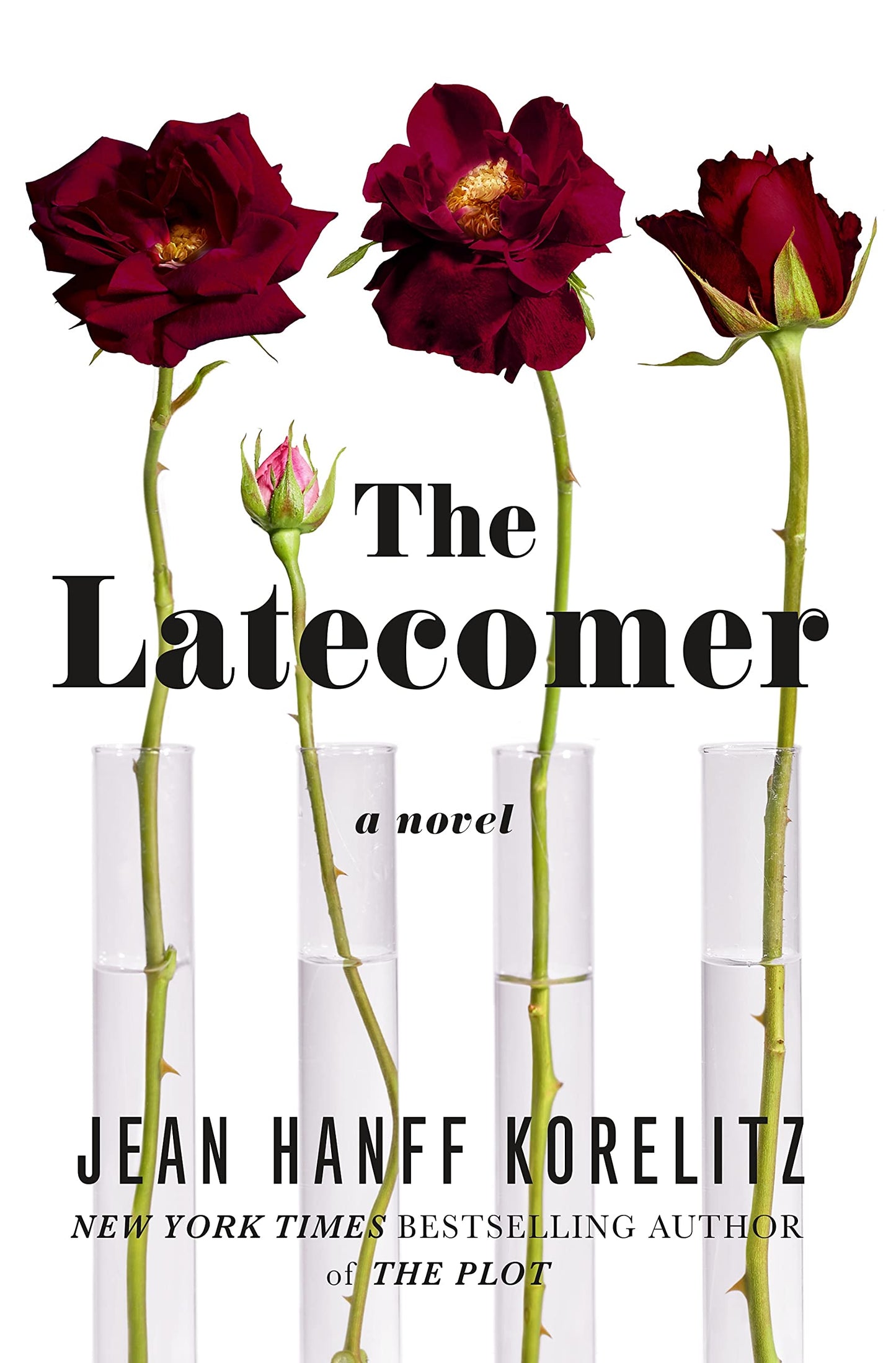 The Latecomer: A Novel book cover