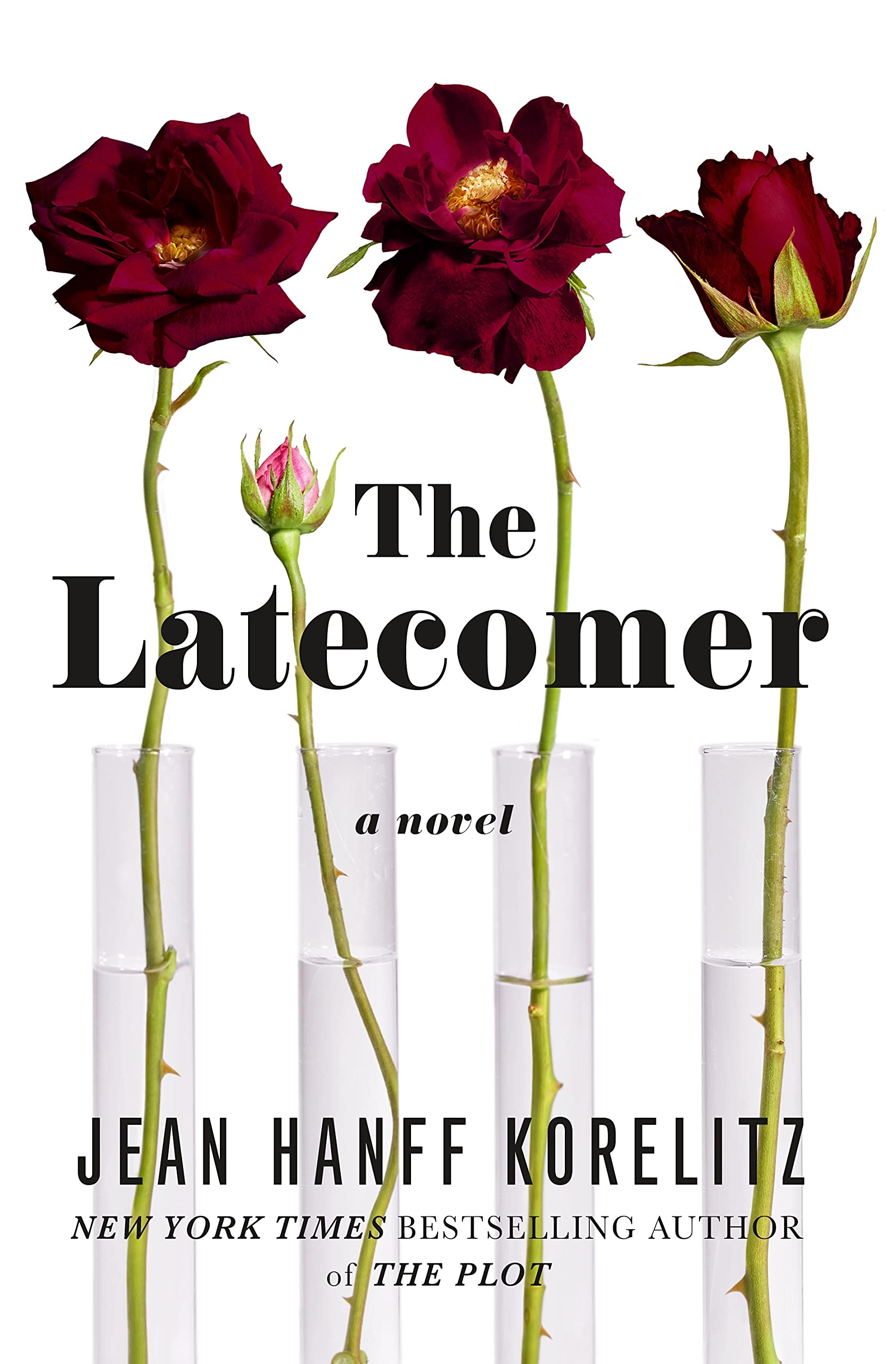The Latecomer: A Novel book cover