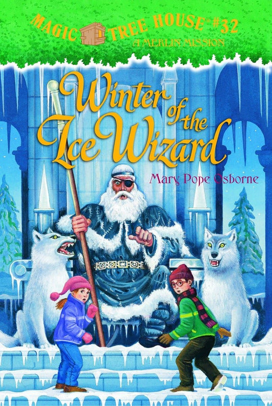 Winter of the Ice Wizard book cover