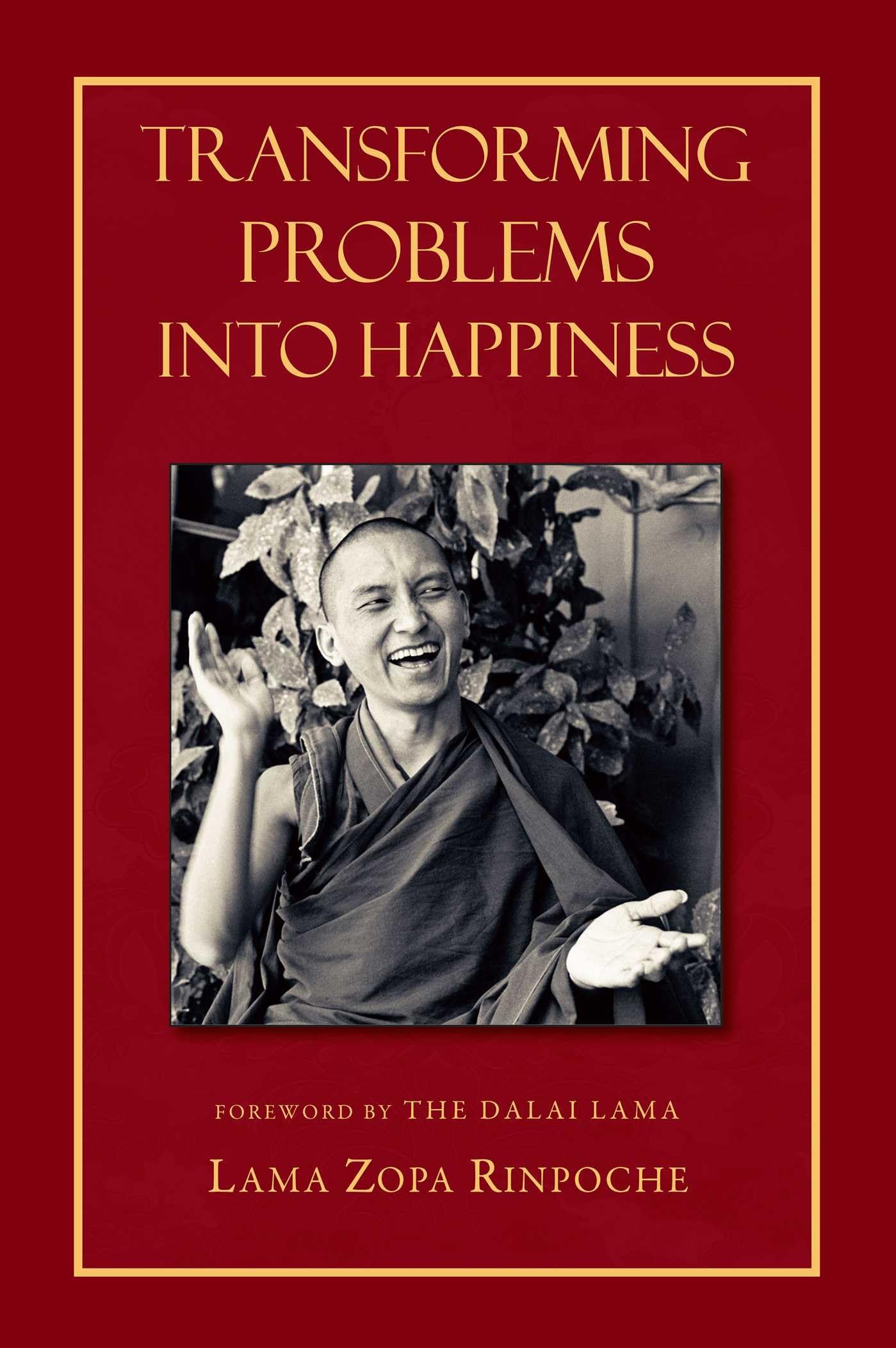 Transforming Problems Into Happiness book cover