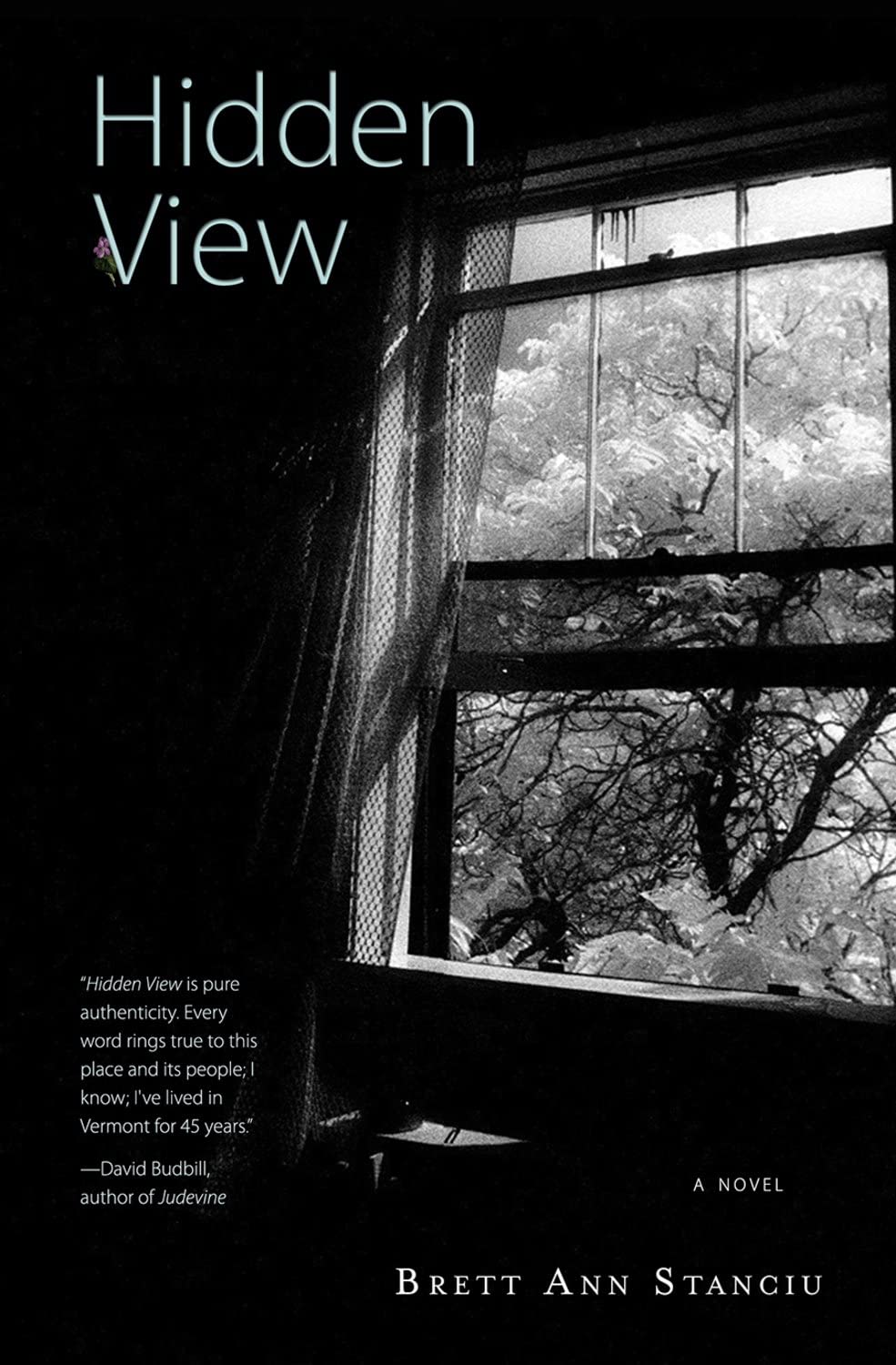Hidden View book cover