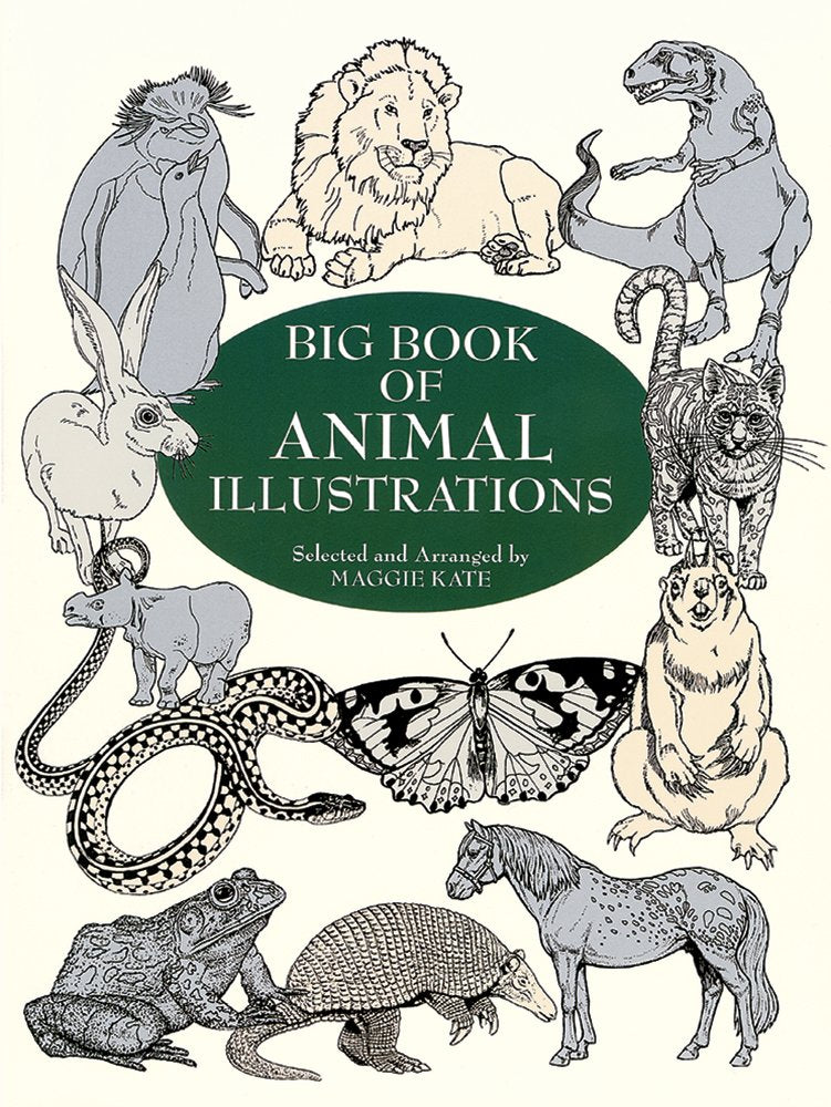 Big Book of Animal Illustrations book cover