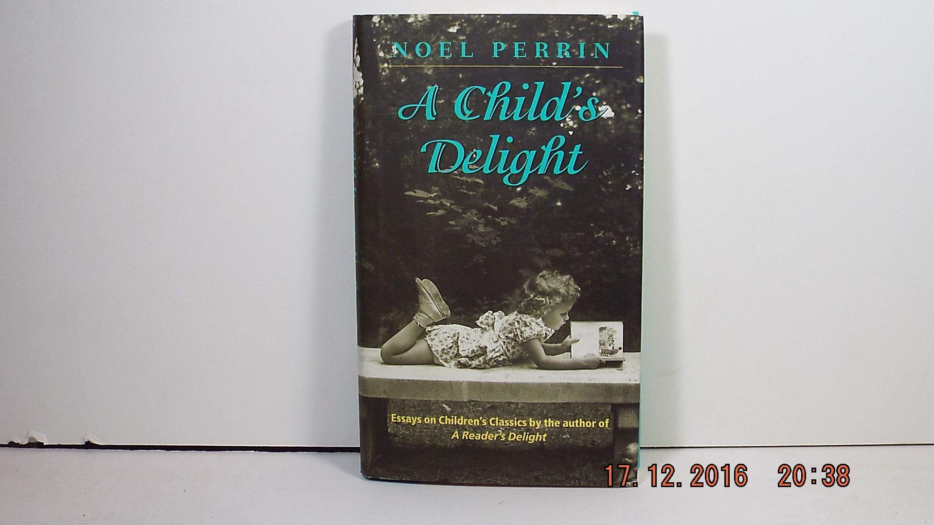 Child S Delight book cover