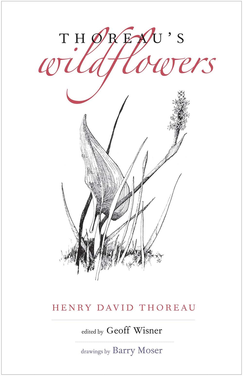 Thoreau's Wildflowers book cover