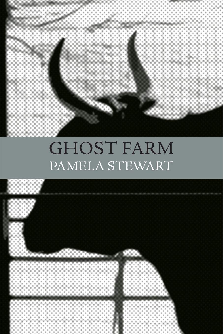 Ghost Farm book cover