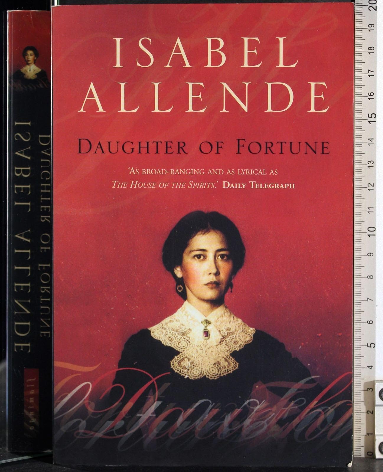 Daughter of Fortune (UK) book cover