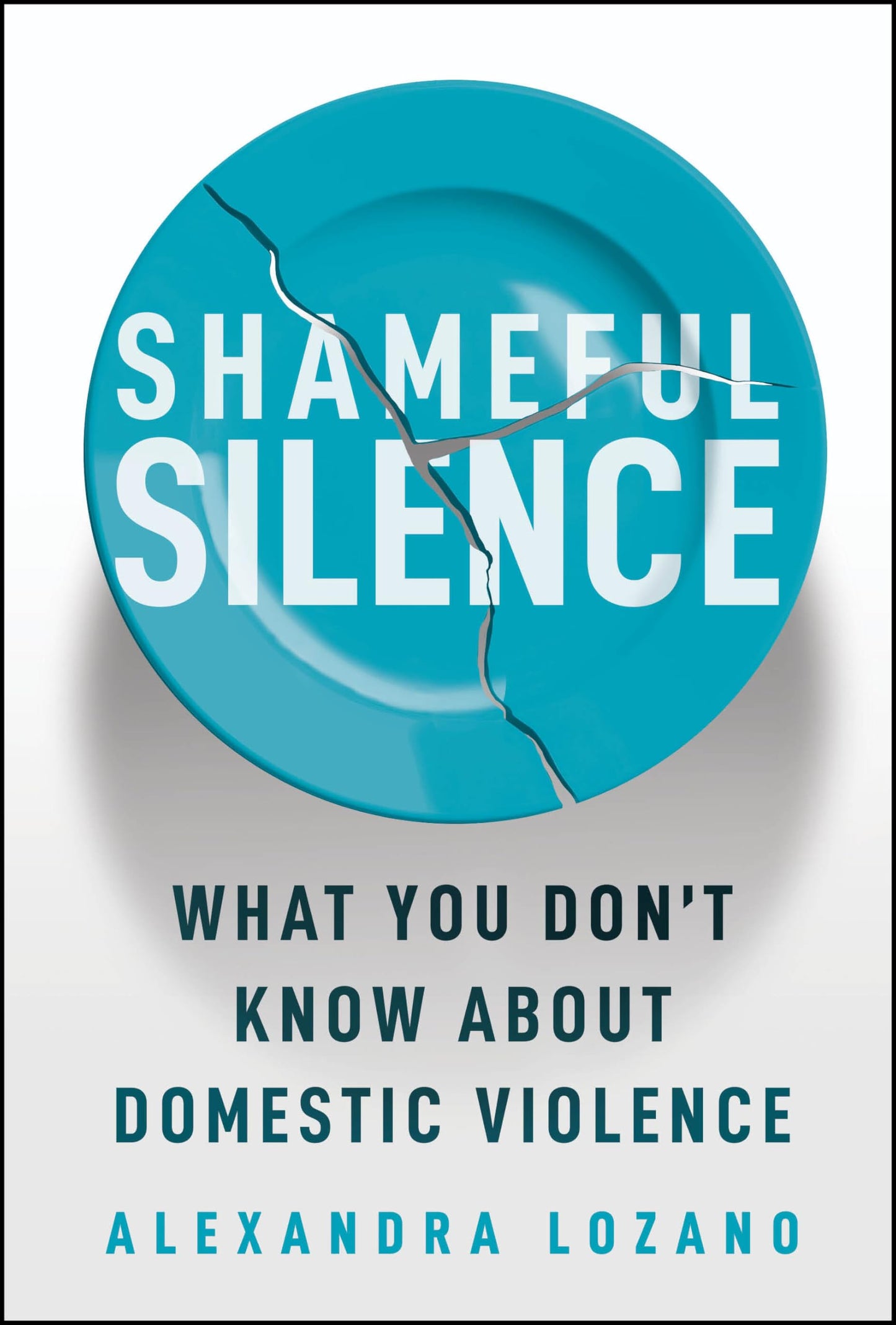 Shameful Silence: What You Don't Know about Domestic Violence book cover
