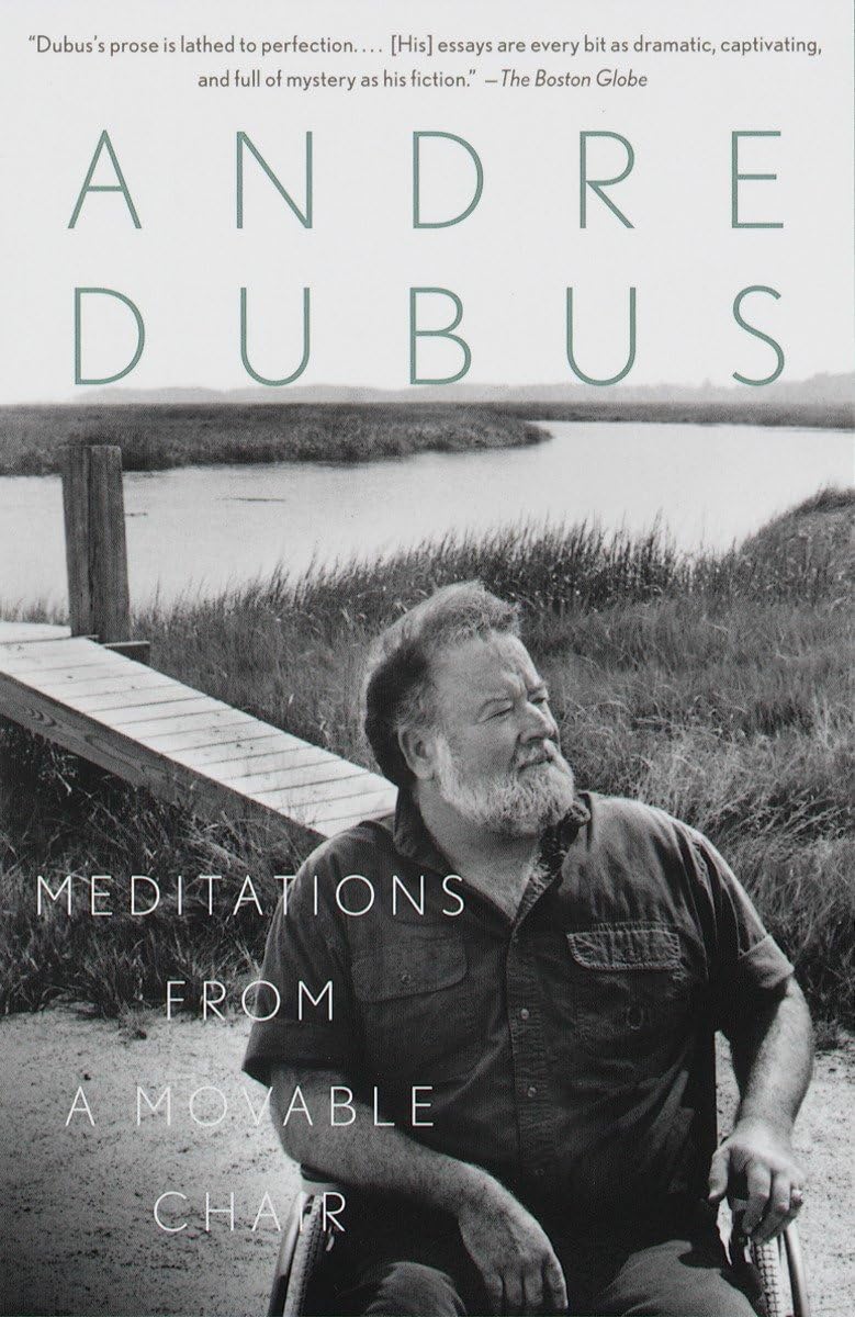 Meditations from a Movable Chair: Essays