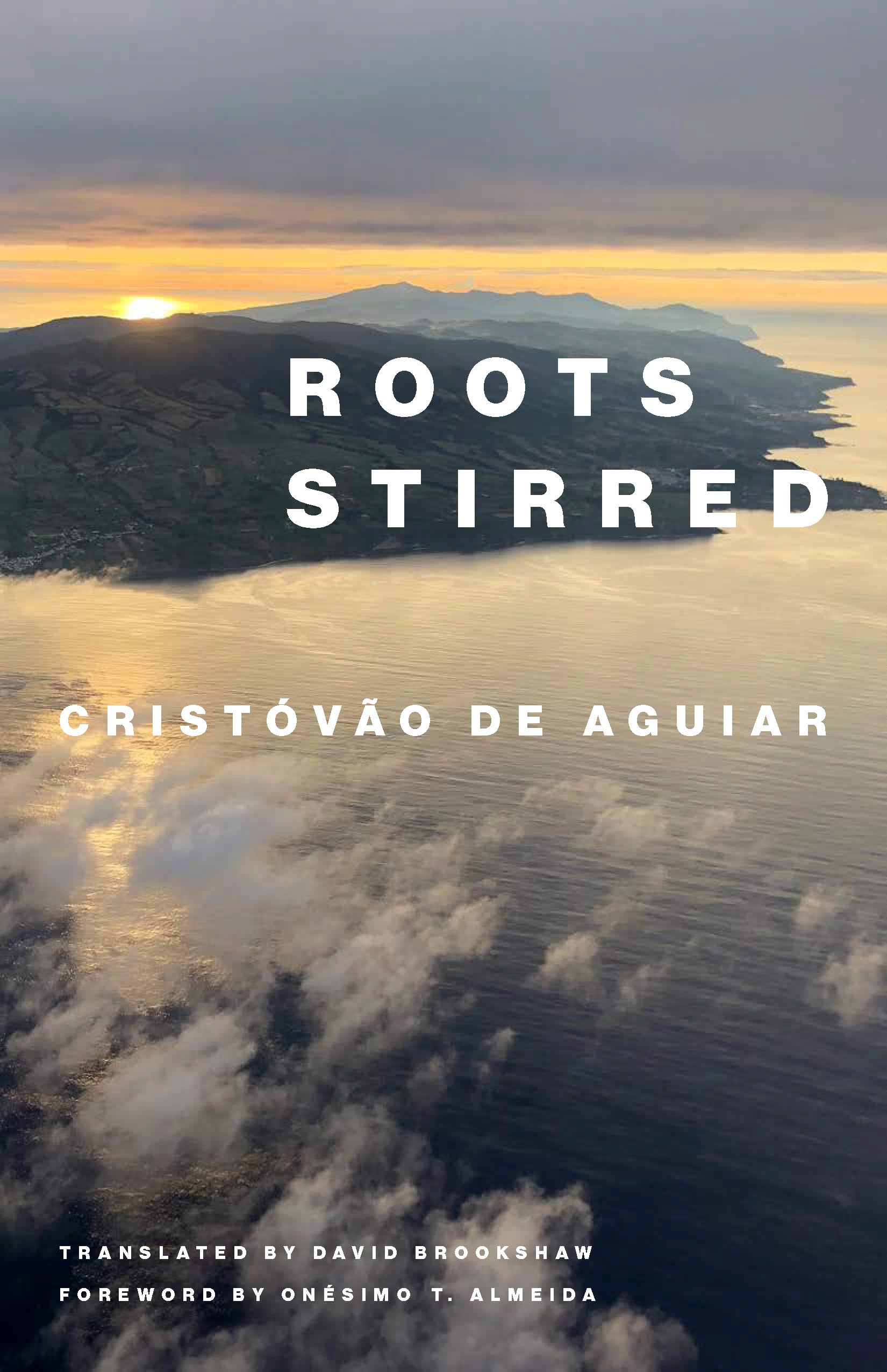 Roots Stirred book cover