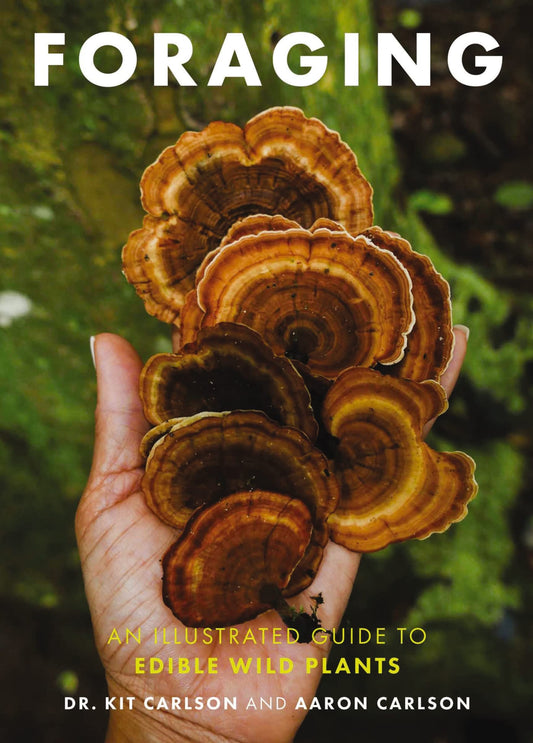 Foraging: An Illustrated Guide to Edible Wild Plants book cover