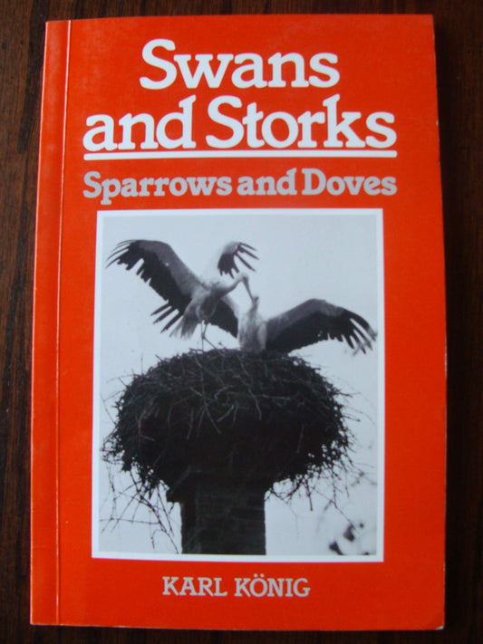 Swans and Storks, Sparrows and Doves: Sketches for an Imaginative Zoology