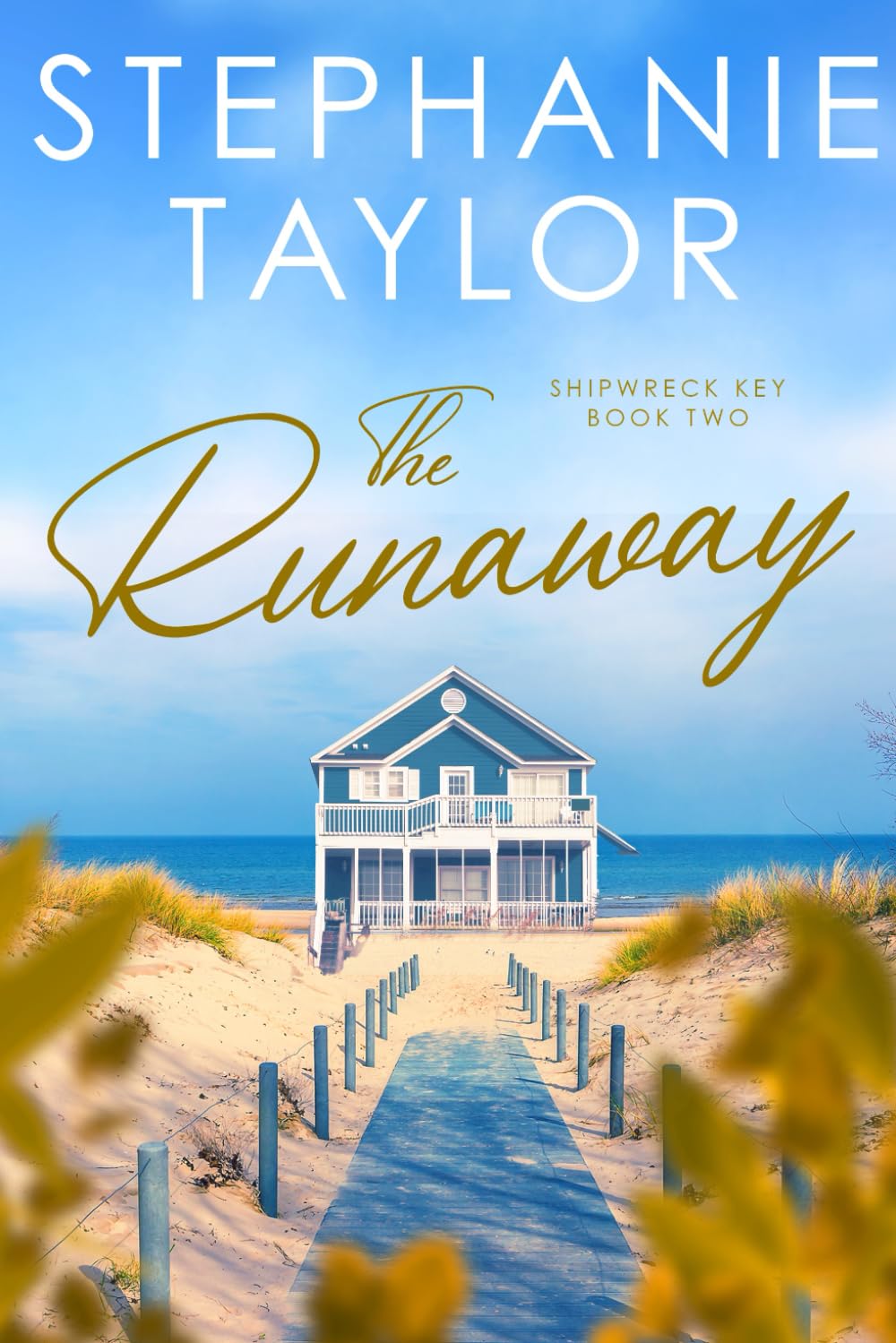 The Runaway: Shipwreck Key Book Two book cover